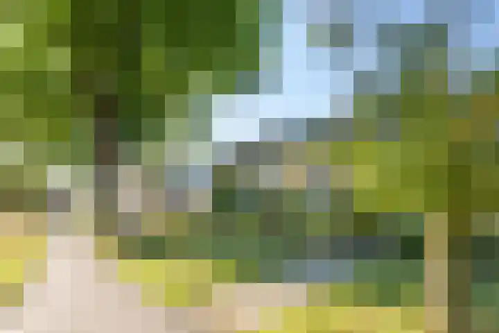 Couwenhoven 5023 Zeist thumbnail 28