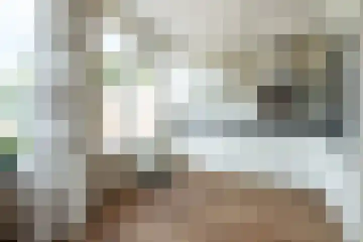 Couwenhoven 5023 Zeist thumbnail 6