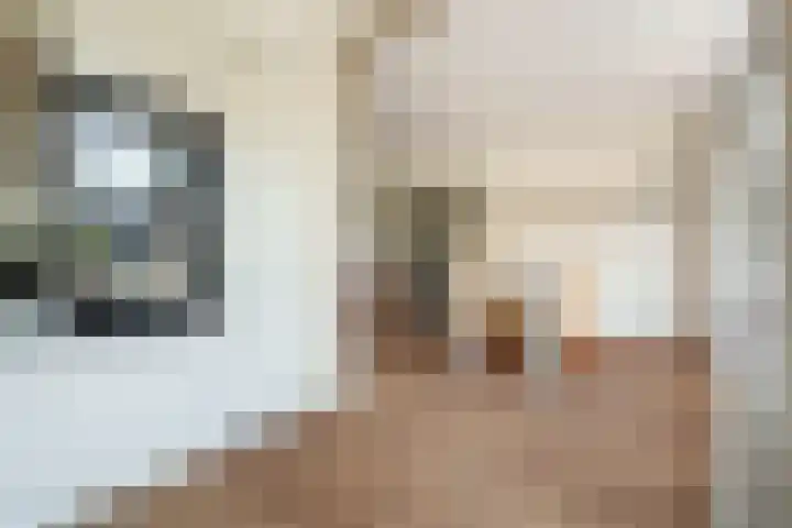 Couwenhoven 5023 Zeist thumbnail 8