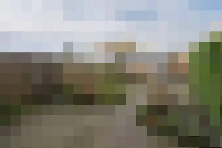 Couwenhoven 5306 Zeist thumbnail 32