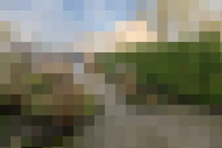 Couwenhoven 5306 Zeist thumbnail 34