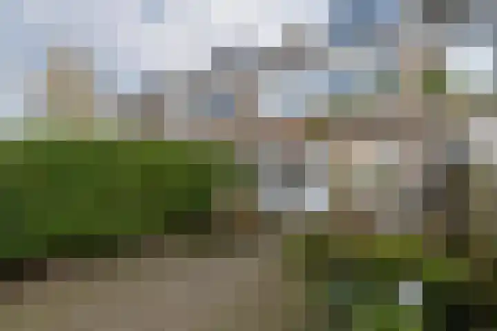 Couwenhoven 5306 Zeist thumbnail 35