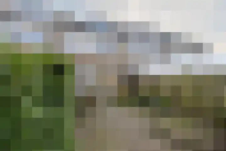 Couwenhoven 5306 Zeist thumbnail 38