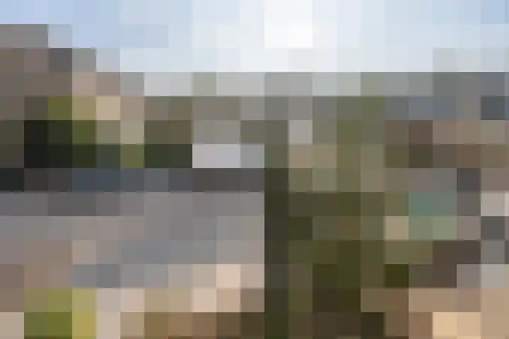 Couwenhoven 5306 Zeist thumbnail 39