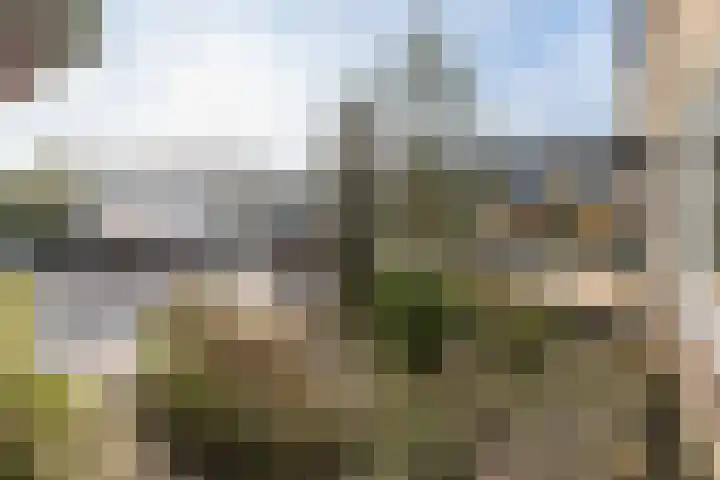 Couwenhoven 5306 Zeist thumbnail 40