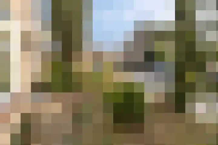 Couwenhoven 5306 Zeist thumbnail 41