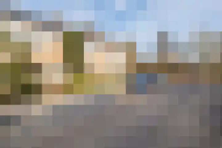 Couwenhoven 5306 Zeist thumbnail 42