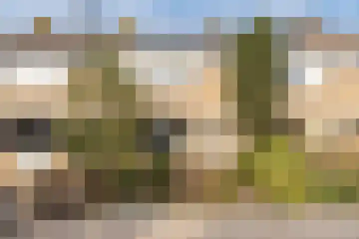 Couwenhoven 5306 Zeist thumbnail 44