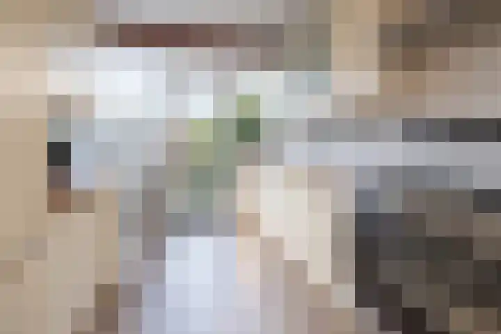 Couwenhoven 5306 Zeist thumbnail 8
