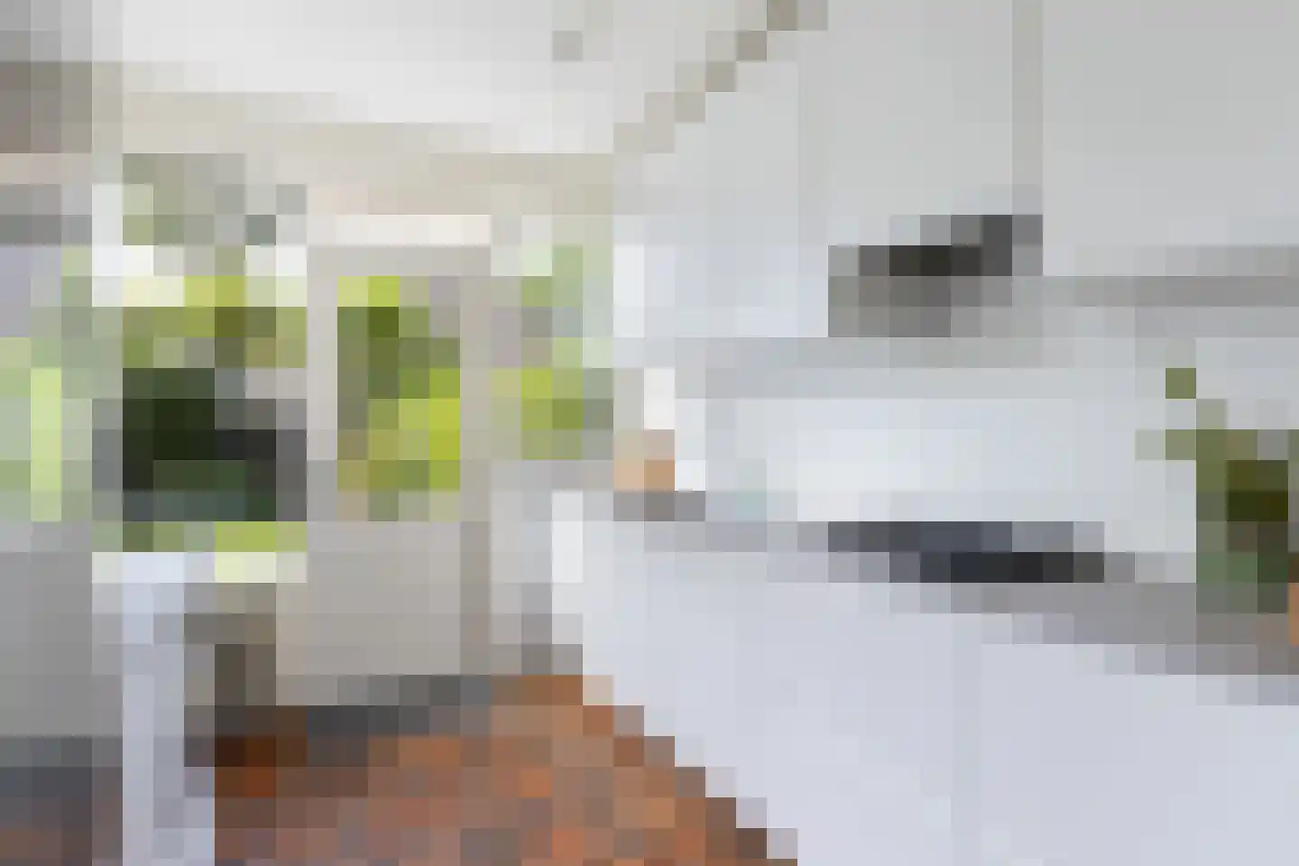 Couwenhoven 5325 Zeist thumbnail 13