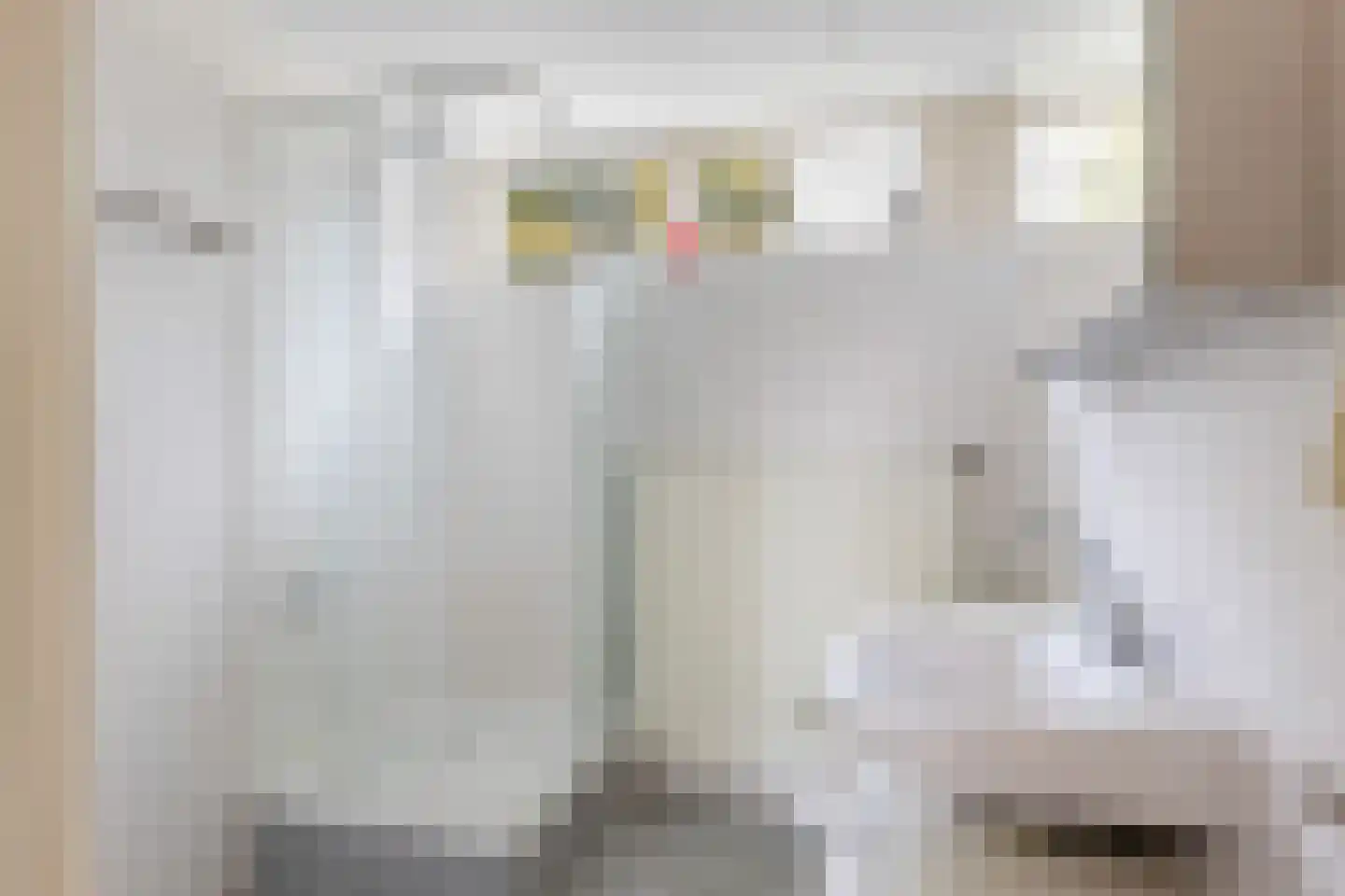 Couwenhoven 5325 Zeist thumbnail 24