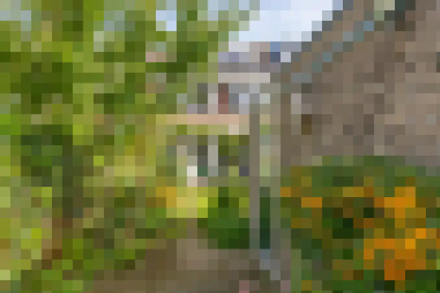 Couwenhoven 5325 Zeist thumbnail 39