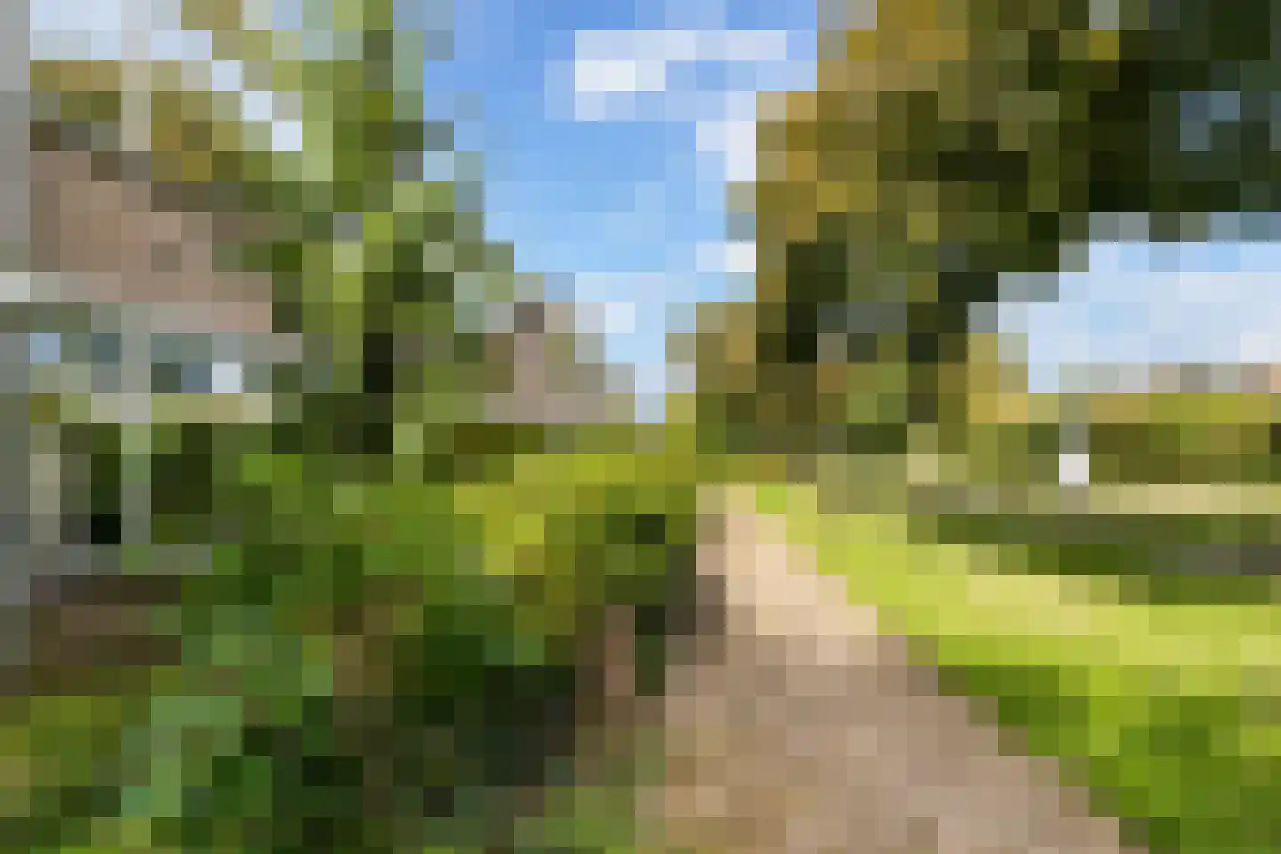 Couwenhoven 5325 Zeist thumbnail 40