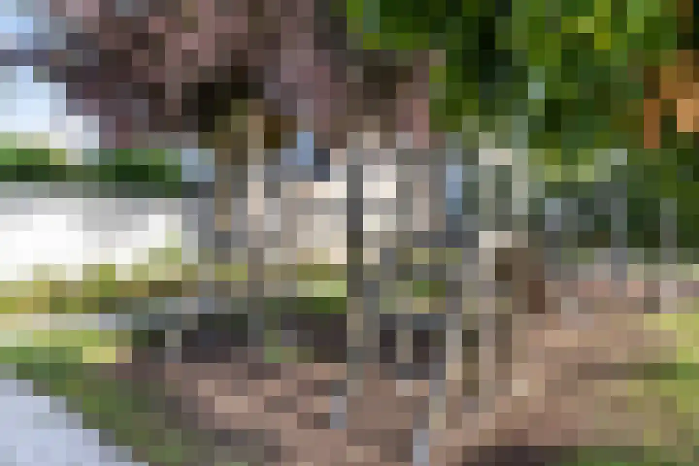 Couwenhoven 5325 Zeist thumbnail 43