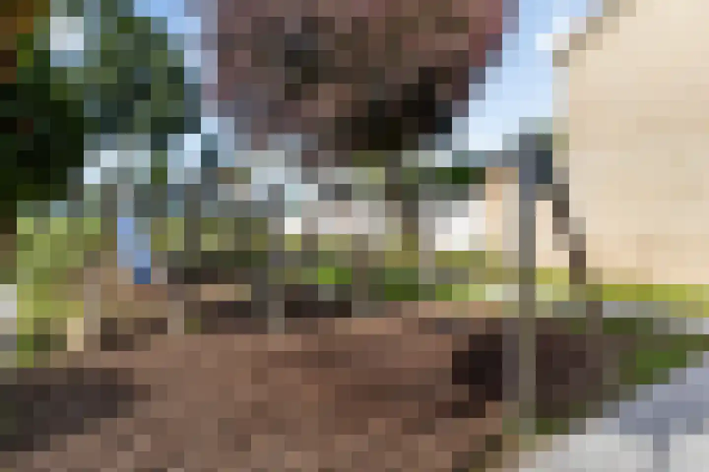 Couwenhoven 5325 Zeist thumbnail 44