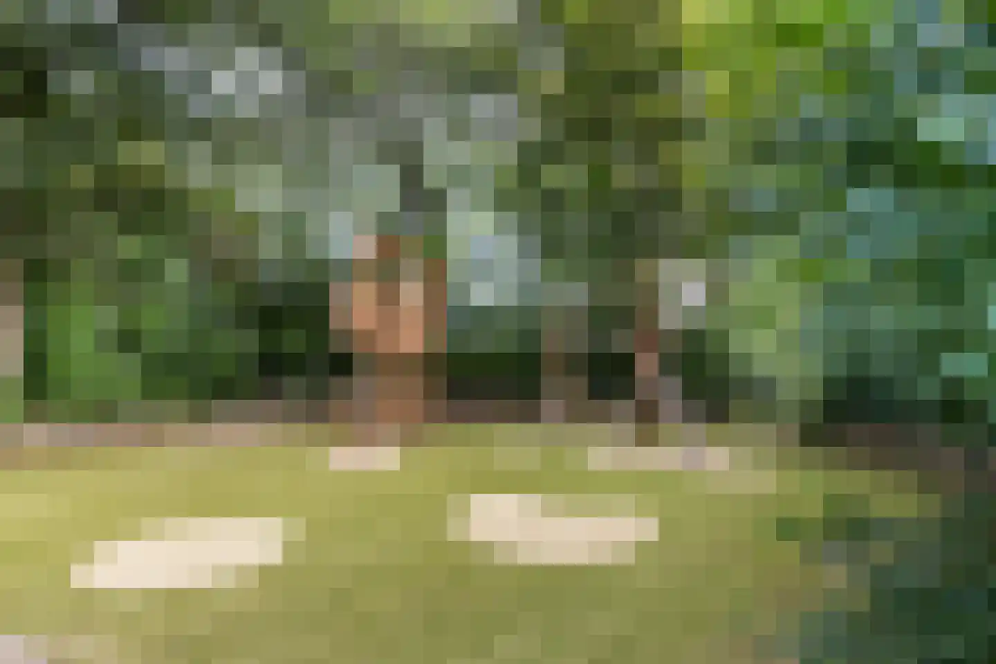 Couwenhoven 5325 Zeist thumbnail 45
