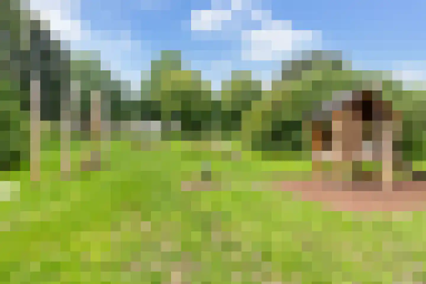 Couwenhoven 5325 Zeist thumbnail 46