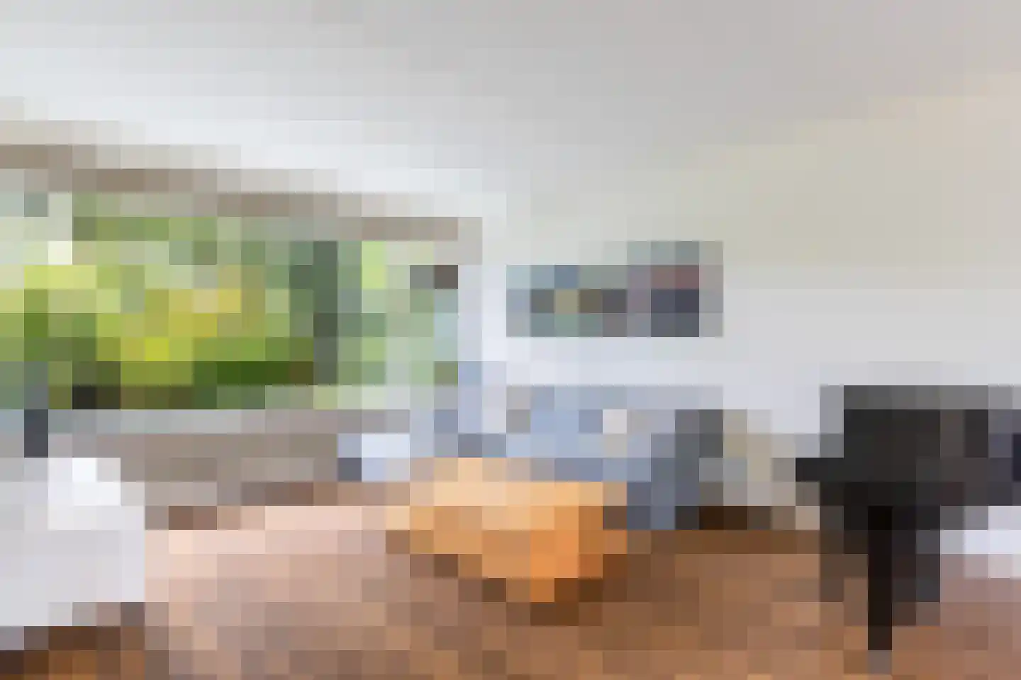 Couwenhoven 5325 Zeist thumbnail 7