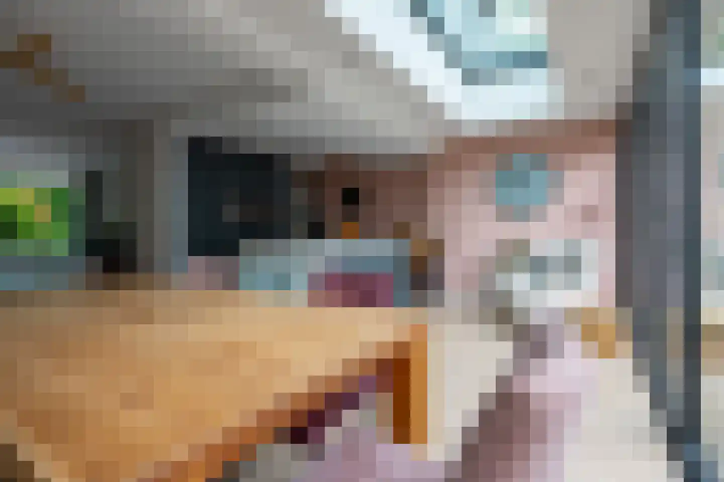 Couwenhoven 5903 Zeist thumbnail 12