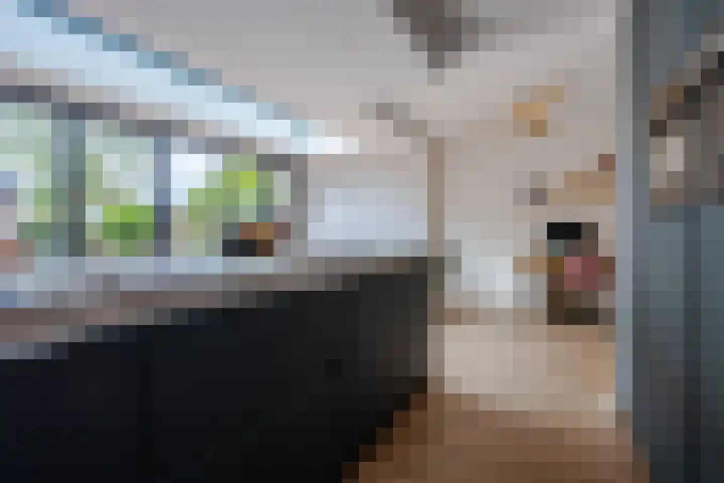 Couwenhoven 5903 Zeist thumbnail 15