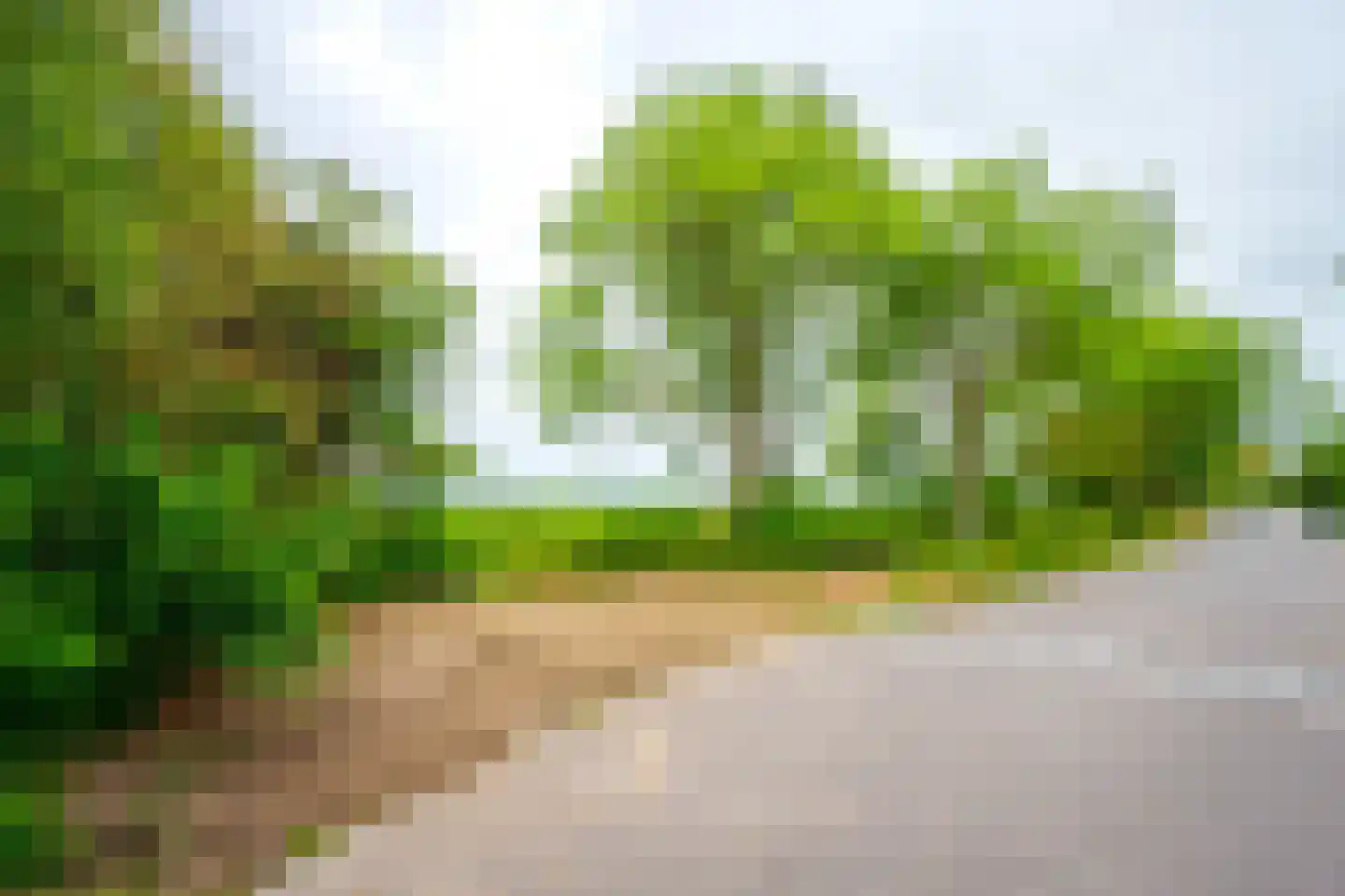 Couwenhoven 5903 Zeist thumbnail 43