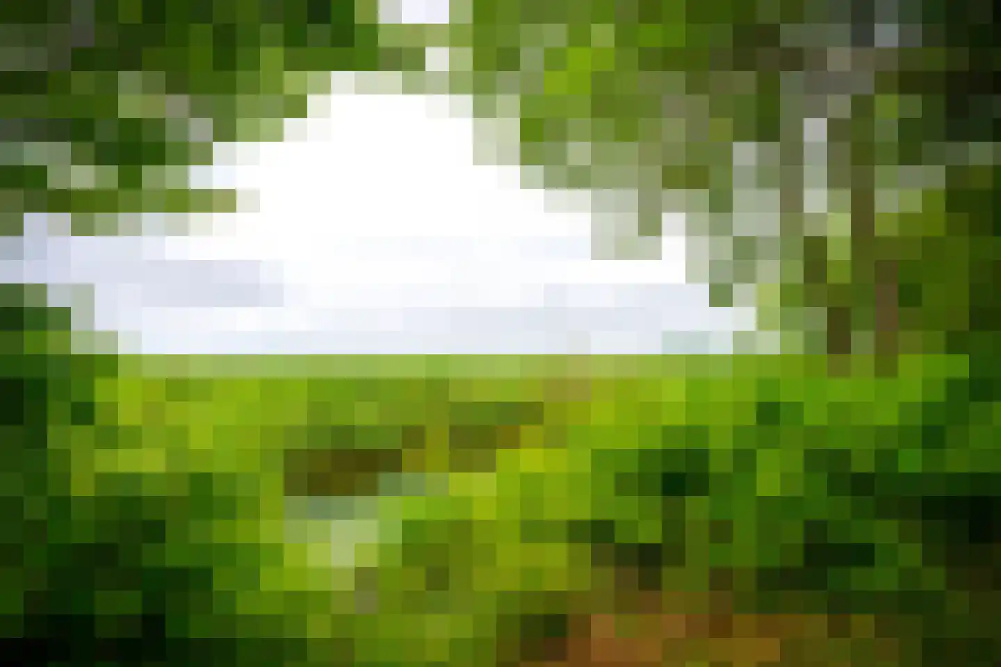 Couwenhoven 5903 Zeist thumbnail 44
