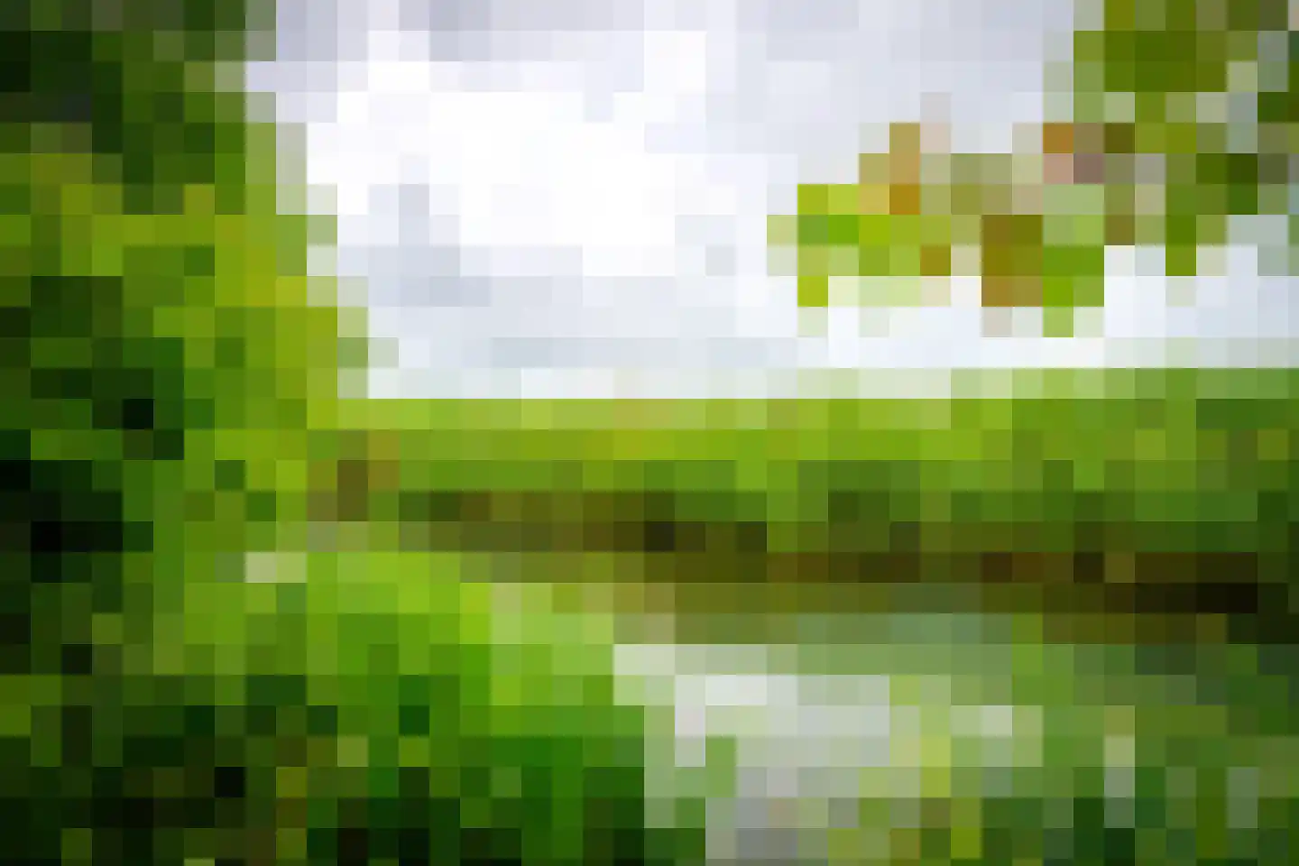 Couwenhoven 5903 Zeist thumbnail 45
