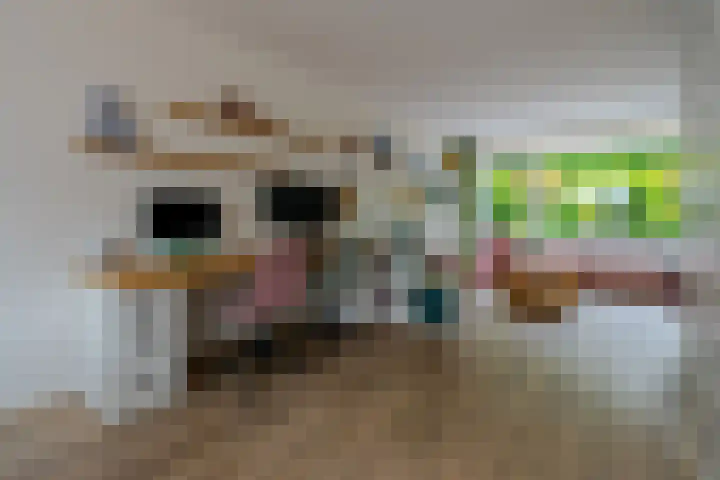 Couwenhoven 5903 Zeist thumbnail 8