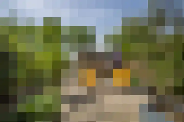 Couwenhoven 5905 Zeist thumbnail 15