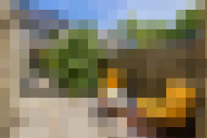 Couwenhoven 5905 Zeist thumbnail 16