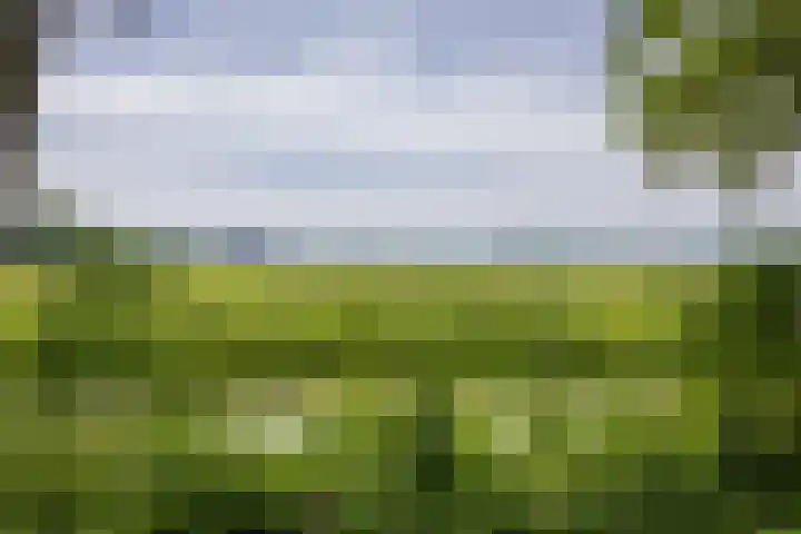 Couwenhoven 5905 Zeist thumbnail 18