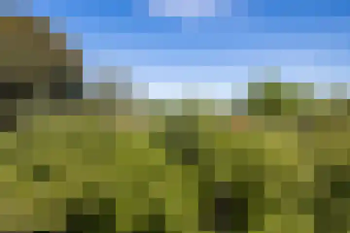 Couwenhoven 5905 Zeist thumbnail 28