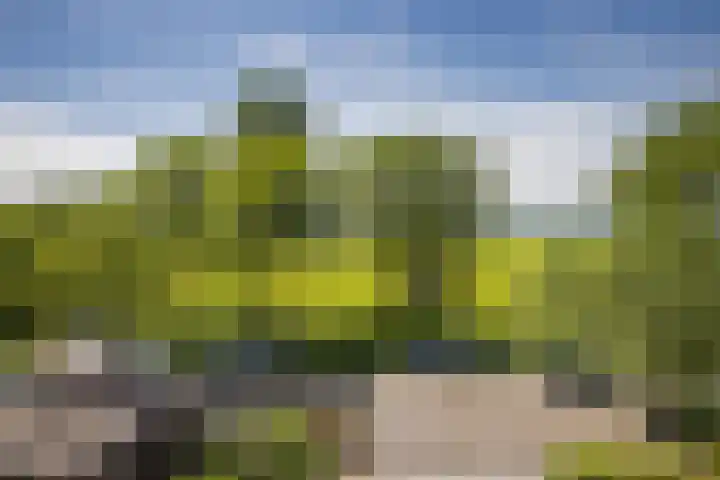 Couwenhoven 5905 Zeist thumbnail 31