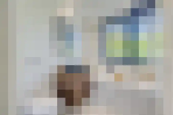 Couwenhoven 5905 Zeist thumbnail 34