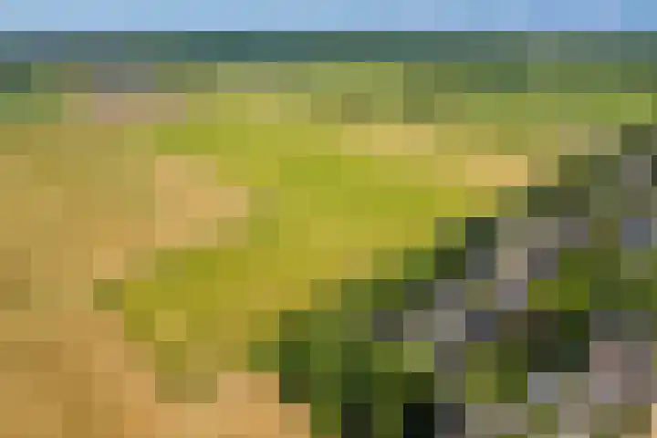 Couwenhoven 5905 Zeist thumbnail 4