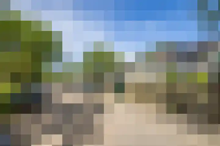 Couwenhoven 5905 Zeist thumbnail 42