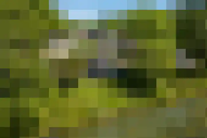 Couwenhoven 5905 Zeist thumbnail 43