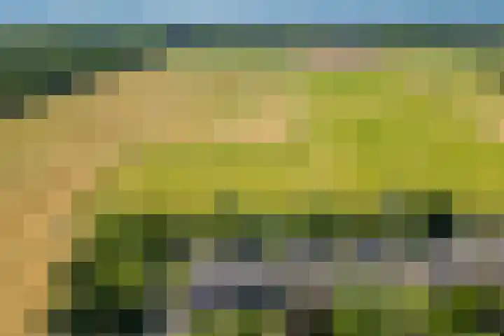 Couwenhoven 5905 Zeist thumbnail 44