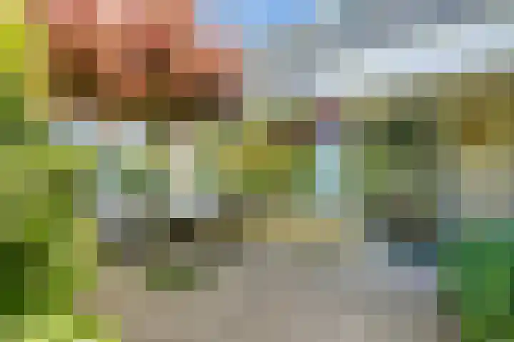 Couwenhoven 5905 Zeist thumbnail 5