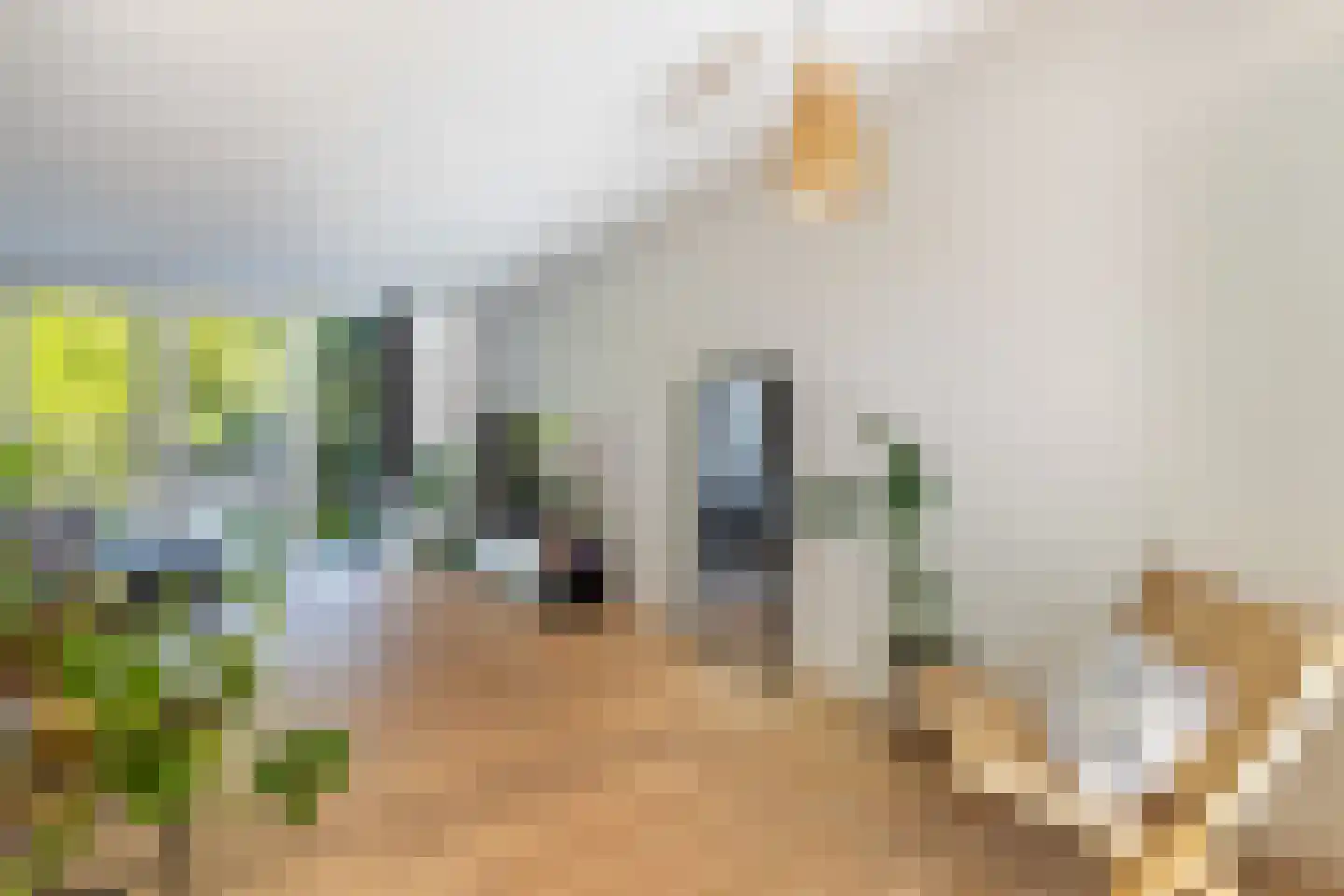 Couwenhoven 6109 Zeist thumbnail 18