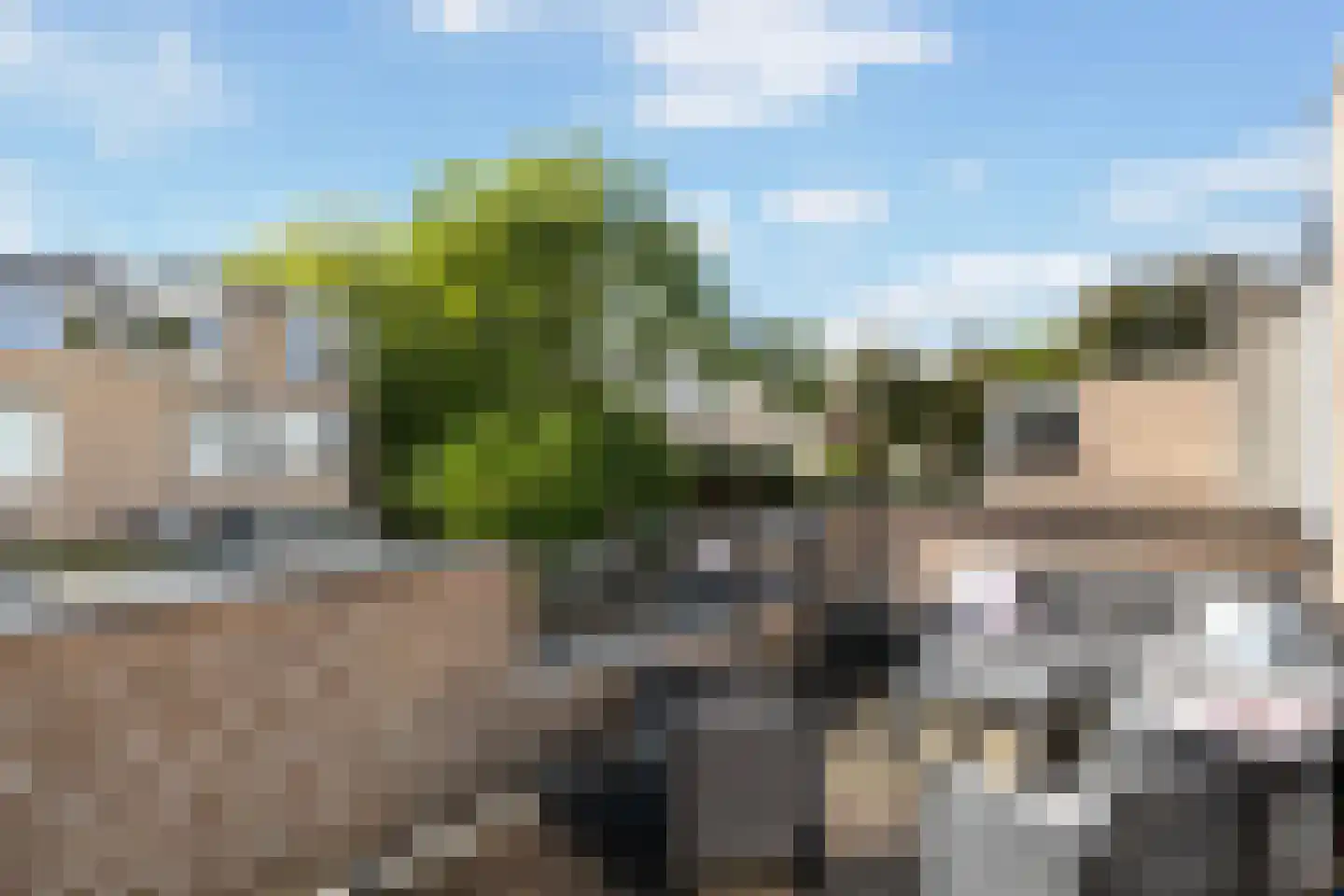 Couwenhoven 6109 Zeist thumbnail 35