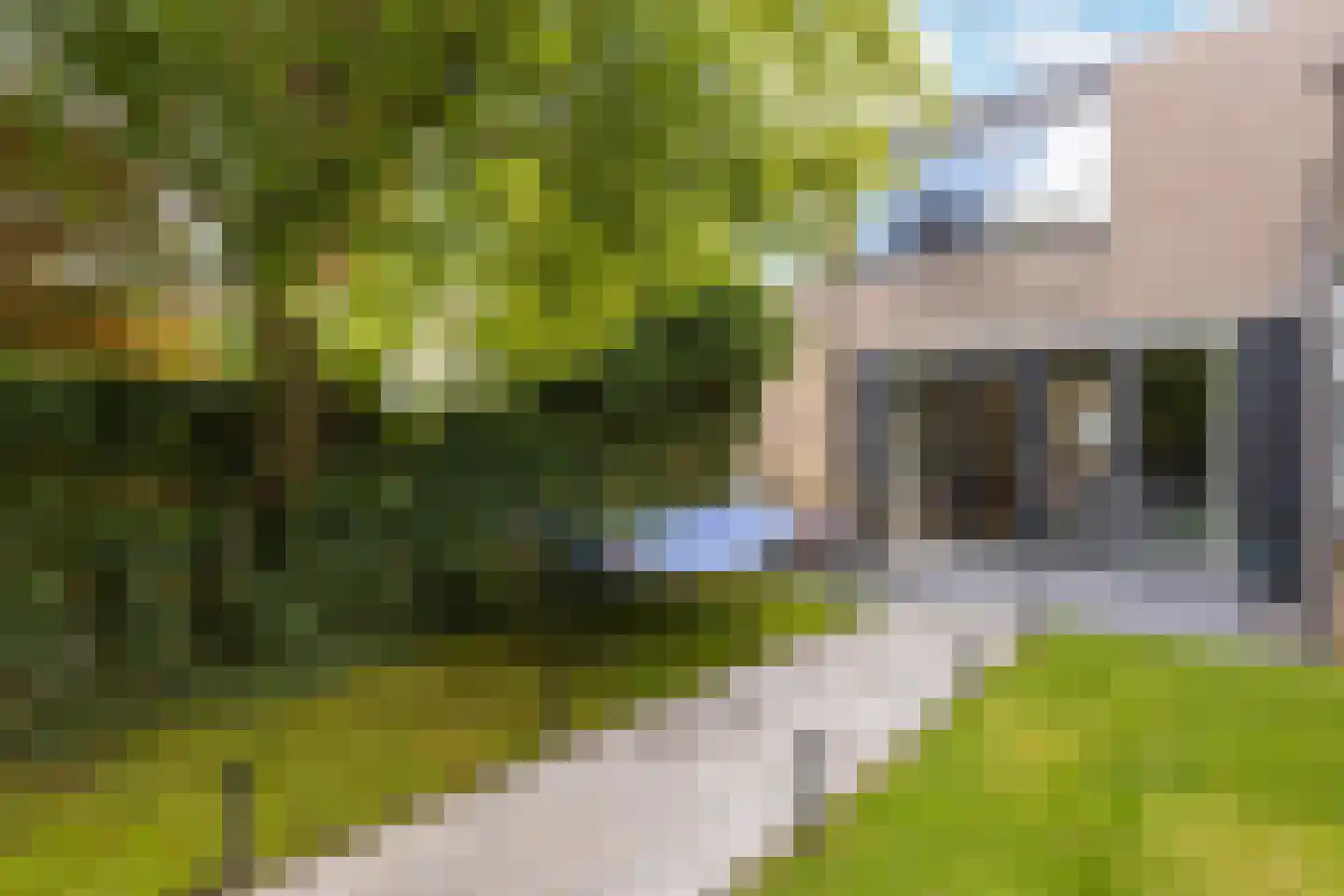 Couwenhoven 6109 Zeist thumbnail 41