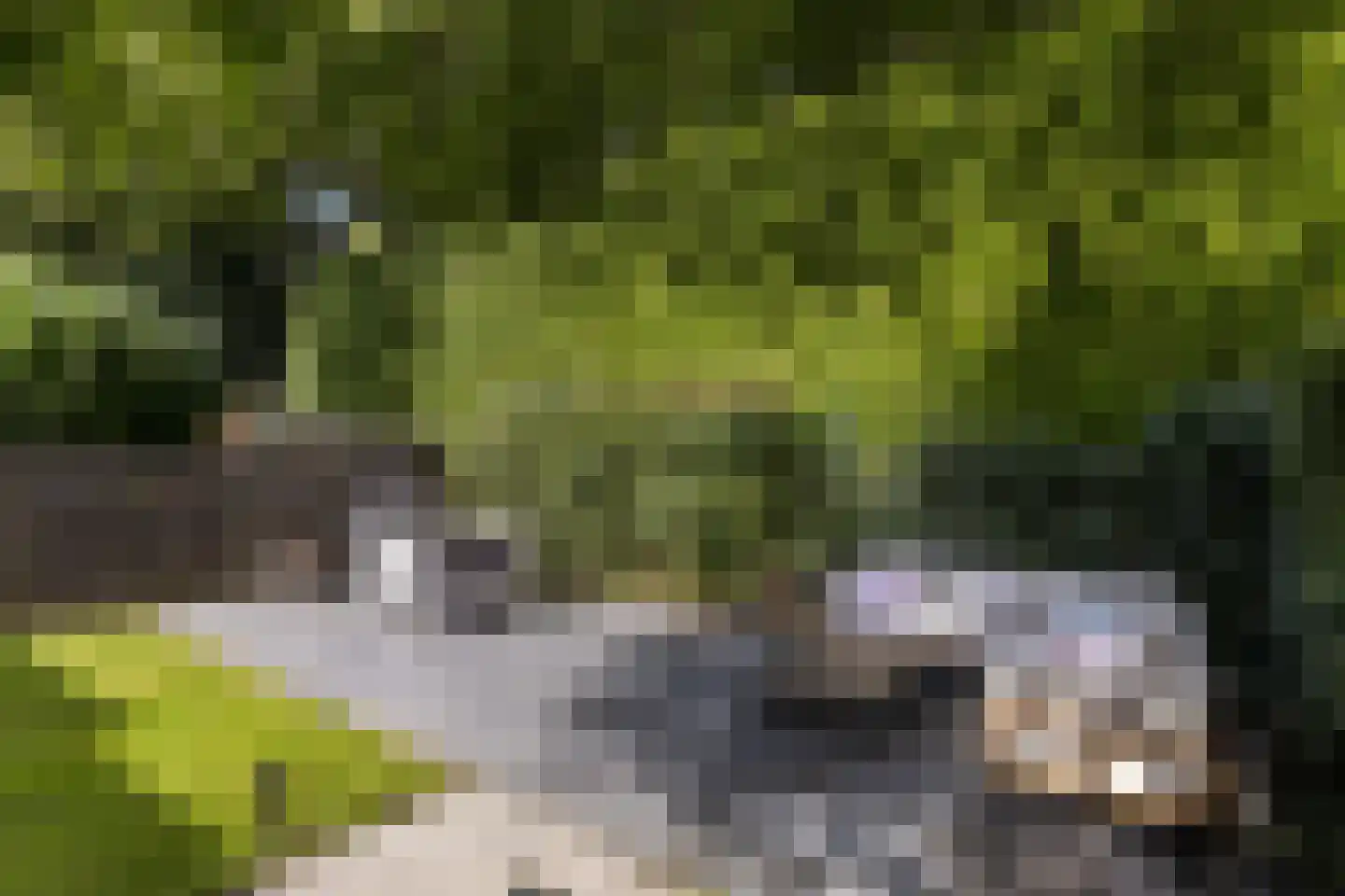 Couwenhoven 6109 Zeist thumbnail 47