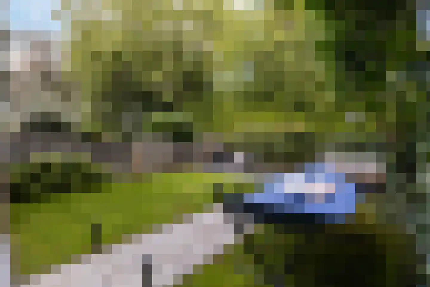 Couwenhoven 6109 Zeist thumbnail 5