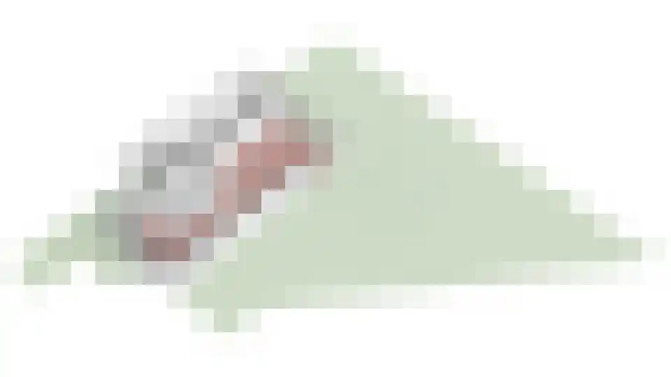 Couwenhoven 6133 Zeist thumbnail 29