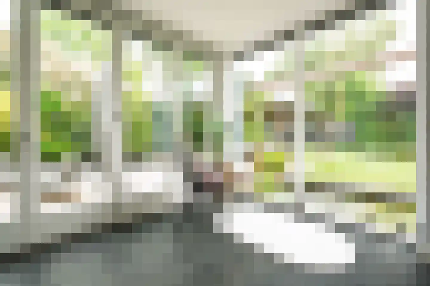 Couwenhoven 6133 Zeist thumbnail 8