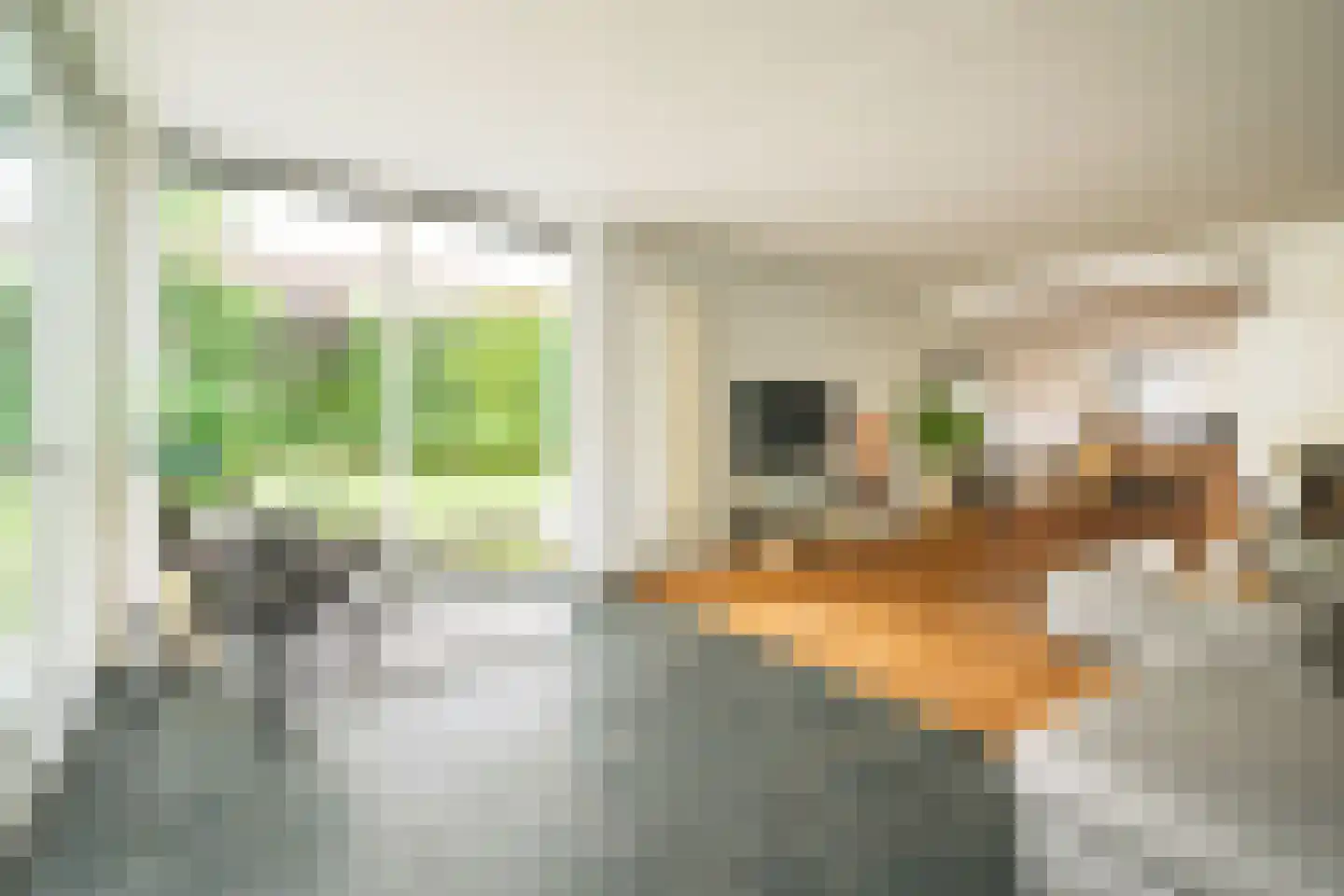 Couwenhoven 6133 Zeist thumbnail 9