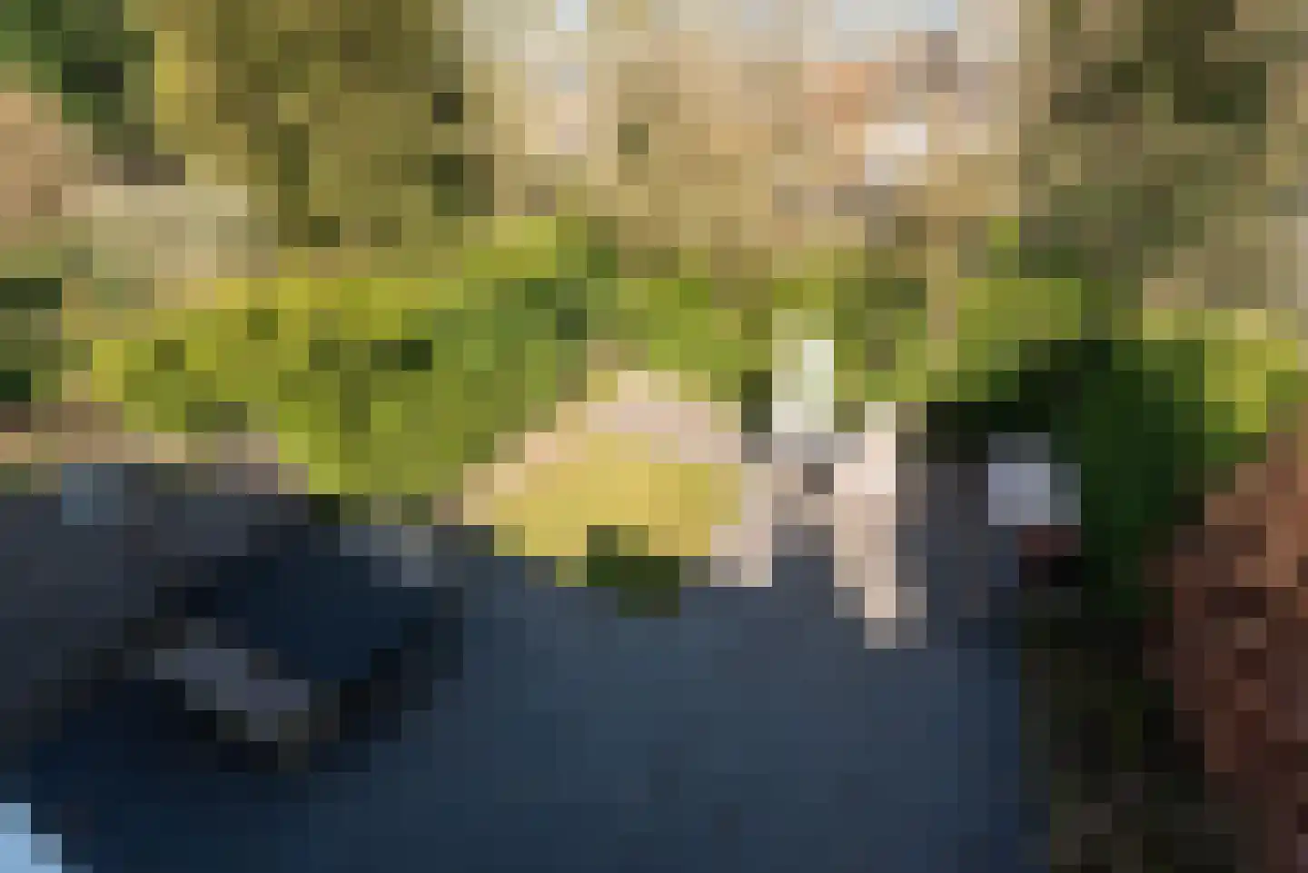 Couwenhoven 6149 Zeist thumbnail 41