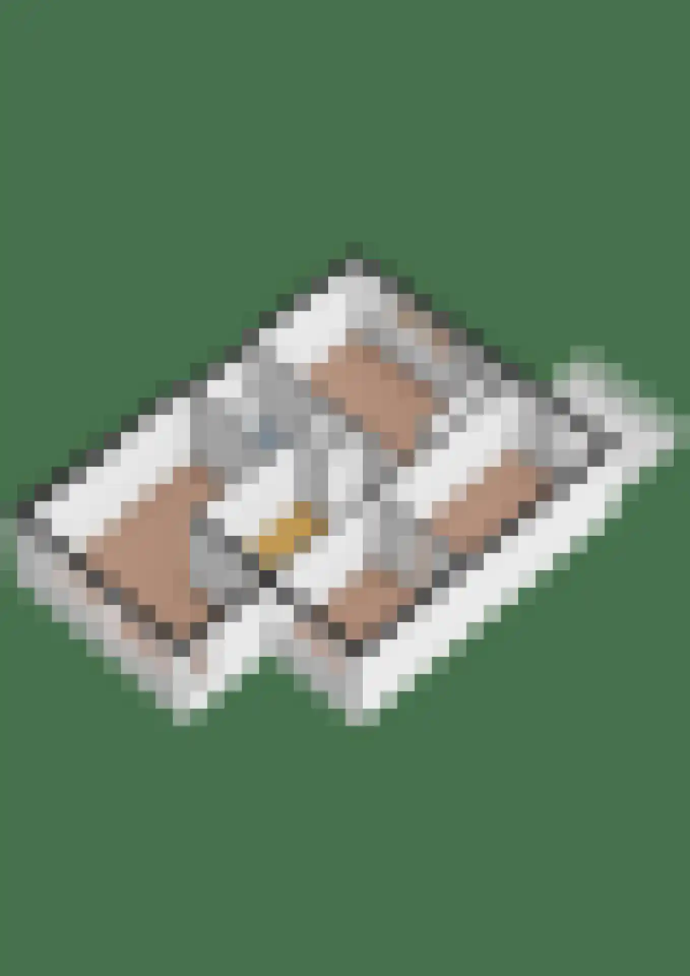 Couwenhoven 6149 Zeist thumbnail 46