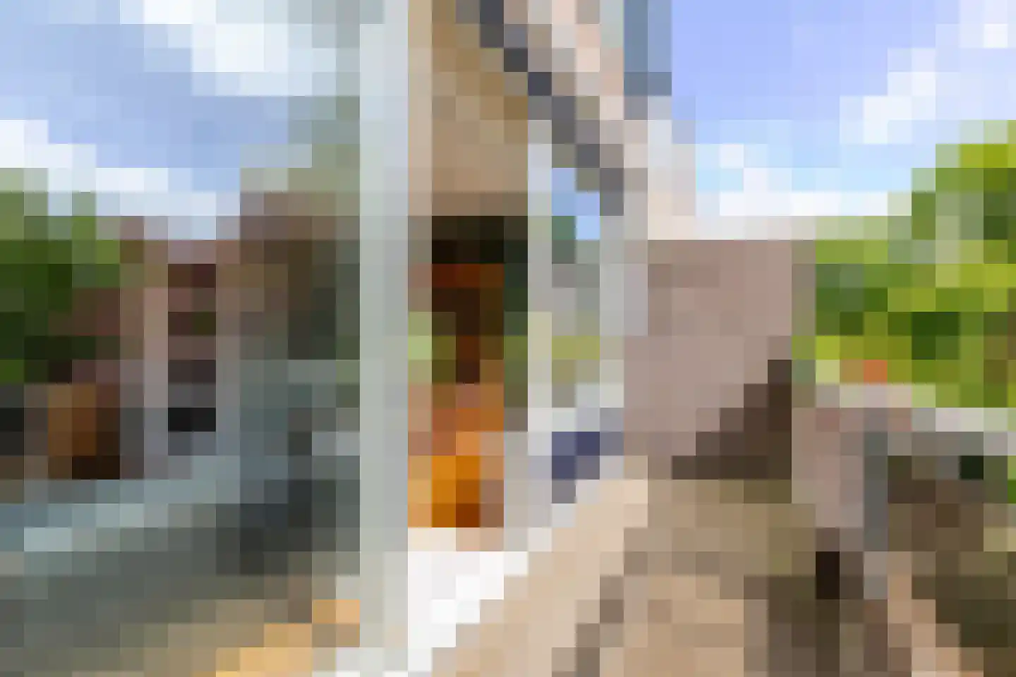Couwenhoven 6245 Zeist thumbnail 20